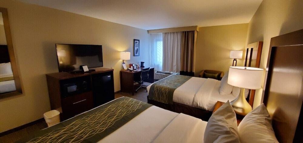 Comfort Inn Oxon Hill - National Harbor photo 6