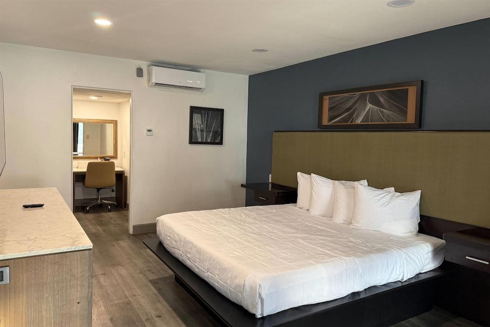 DTLV, a Baymont by Wyndham photo 3