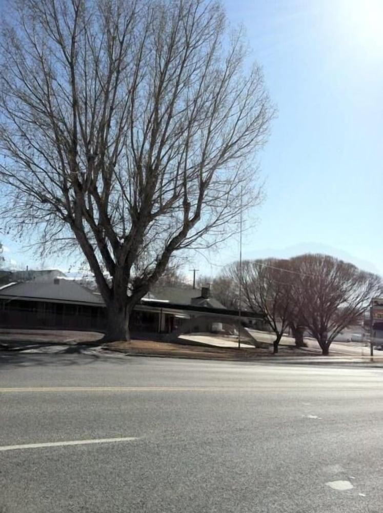 Gunnison Inn photo 4