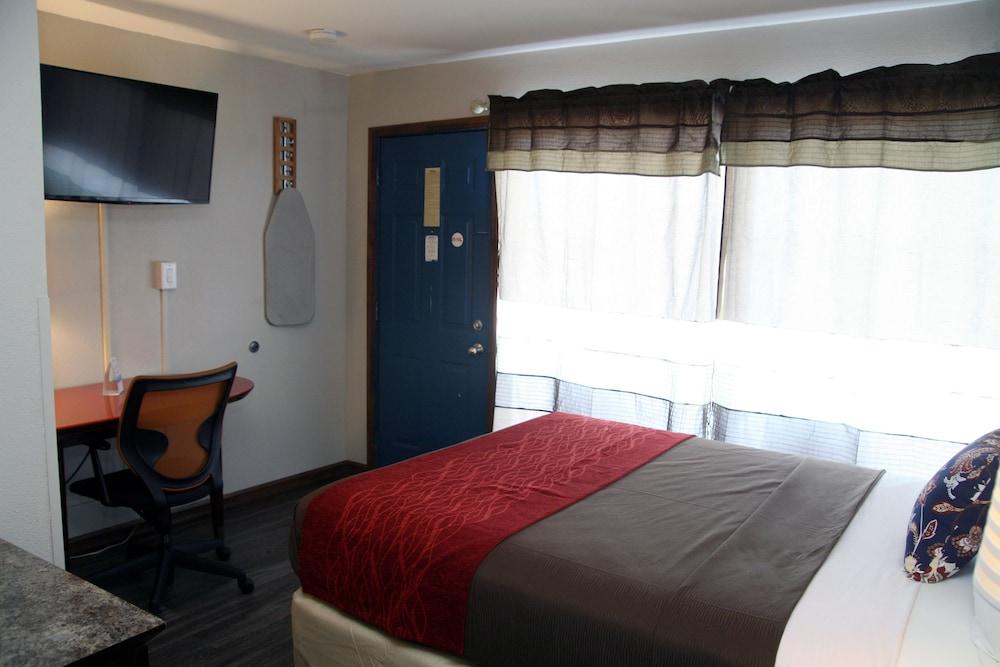 South T Motel photo 35