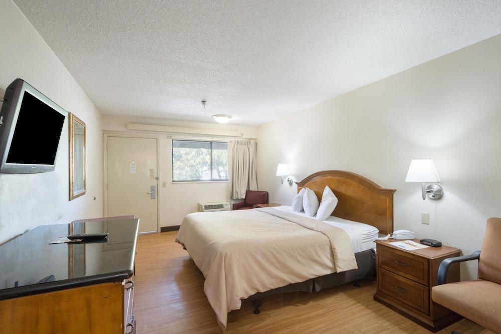 Rodeway Inn Tampa near Busch Gardens - USF photo 10