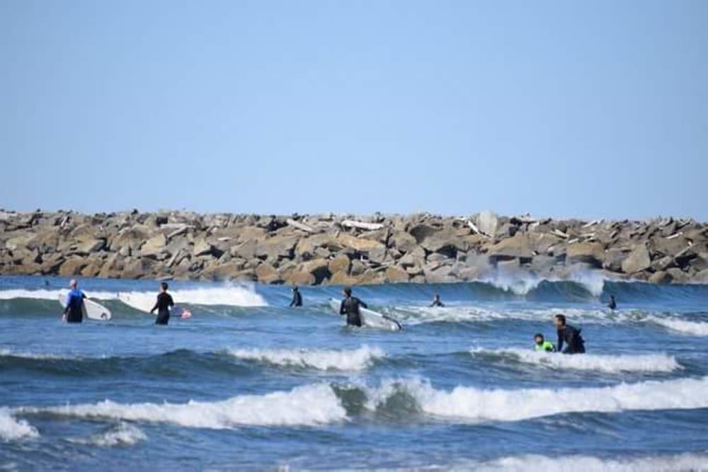 Islander Westport photo 56