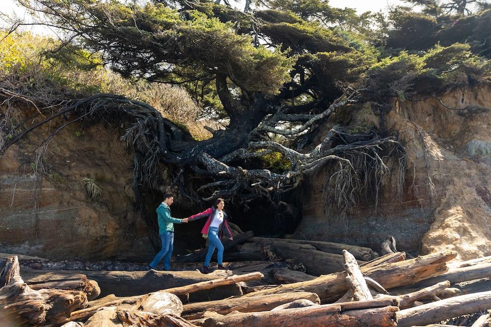 Kalaloch Lodge photo 15
