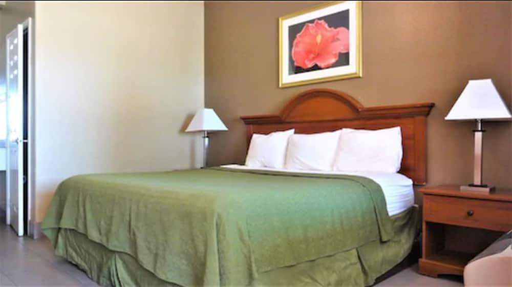 La Copa Inn McAllen photo 9