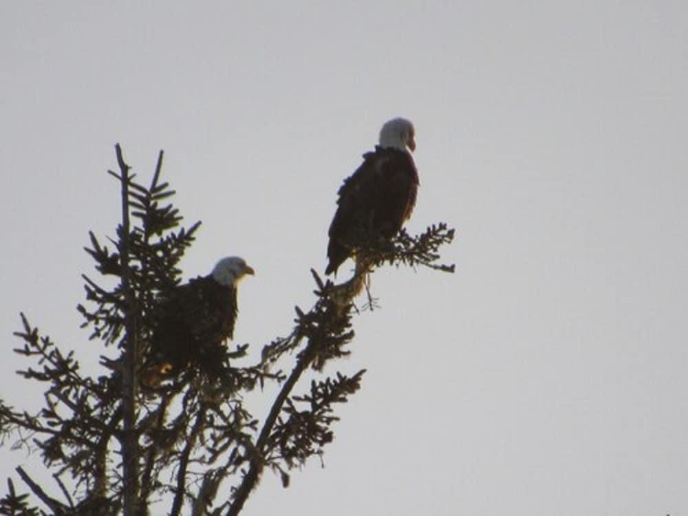 The Waldport Inn photo 17