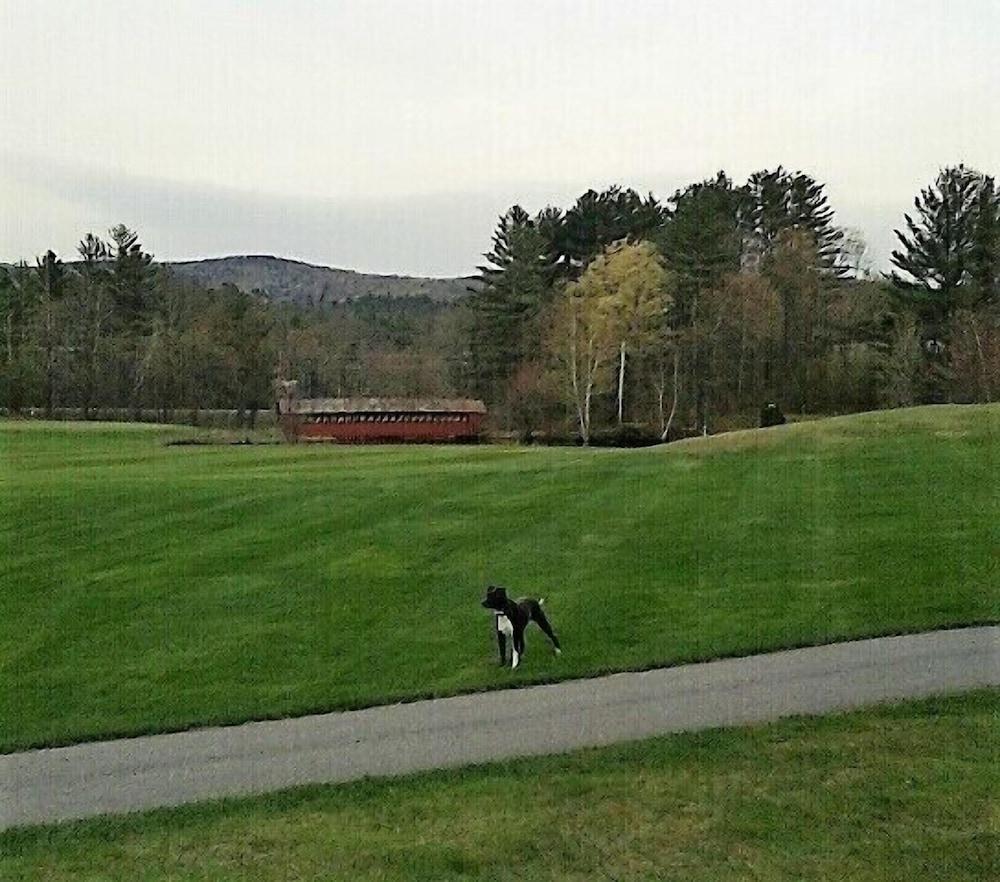Jack O'Lantern Resort and Golf Course photo 4