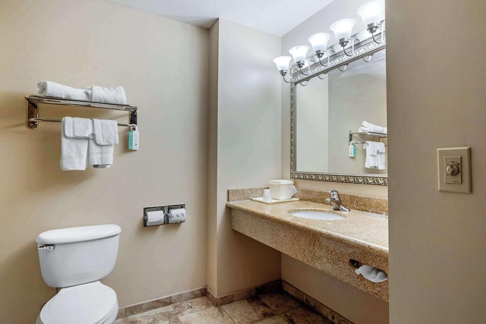 Quality Inn Smyrna photo 30