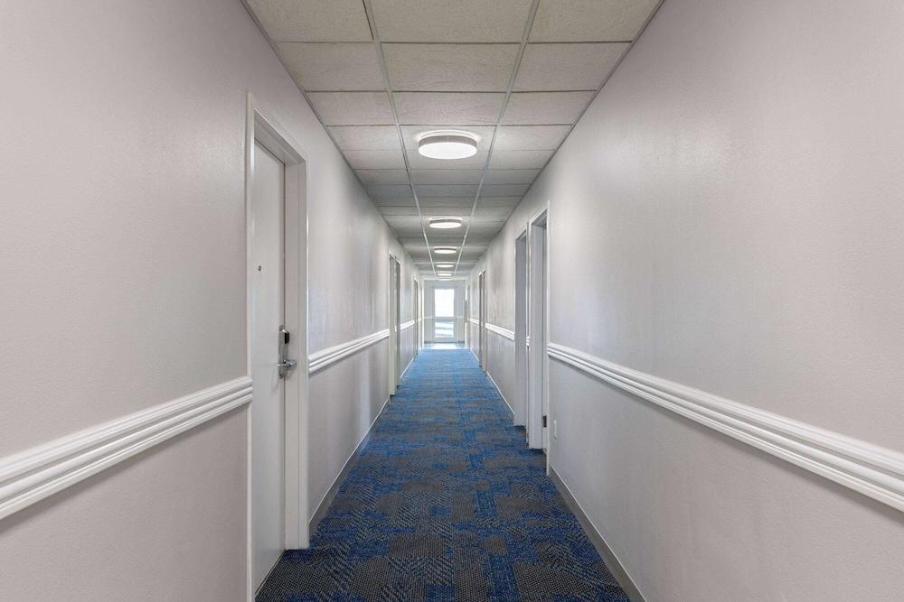 Microtel Inn by Wyndham Bowling Green photo 2