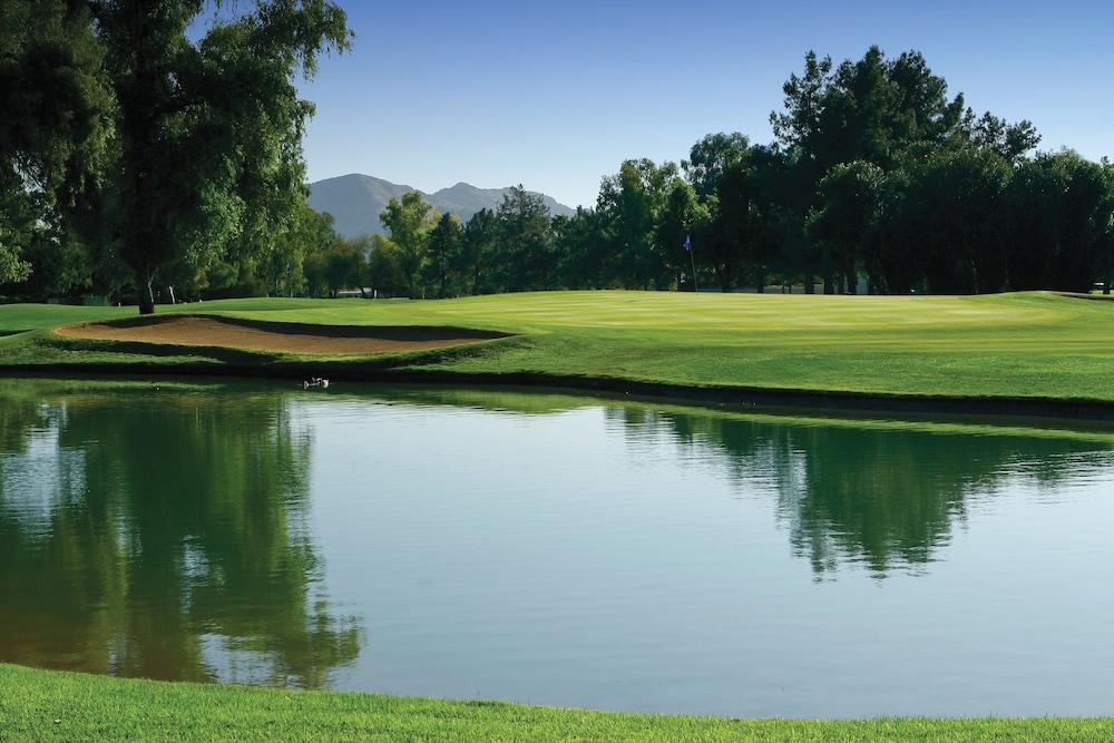 Orange Tree Resort photo 58