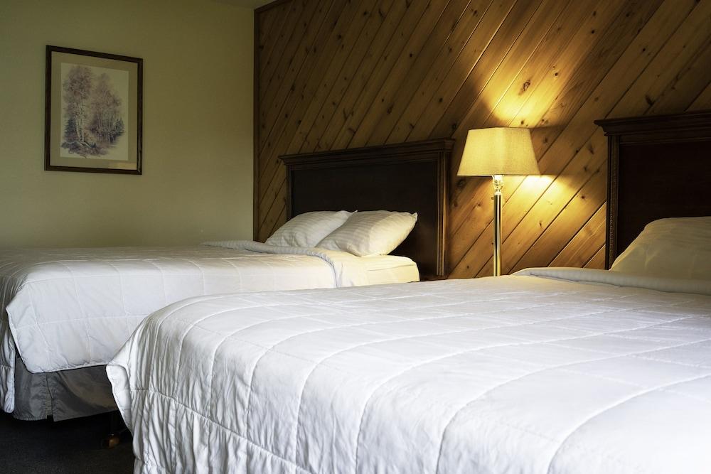 Ruttger's Birchmont Lodge photo 14