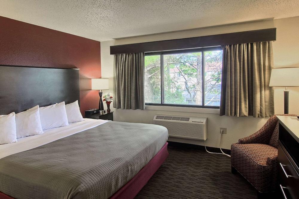 Blossom Hotel & Suites Traverse City photo 3
