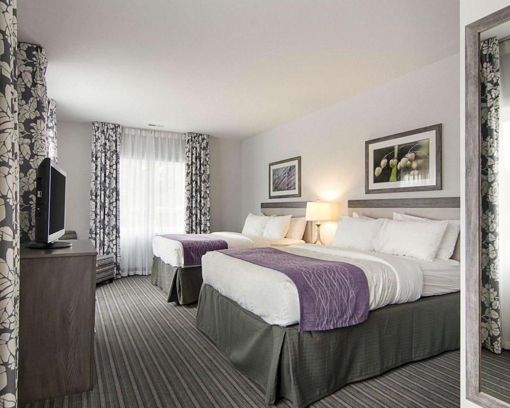 Comfort Inn Williamsburg Gateway photo 15