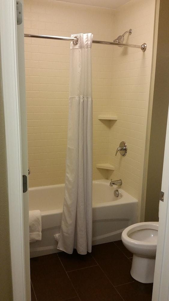 Staybridge Suites Jacksonville - Camp Lejeune Area by IHG photo 27