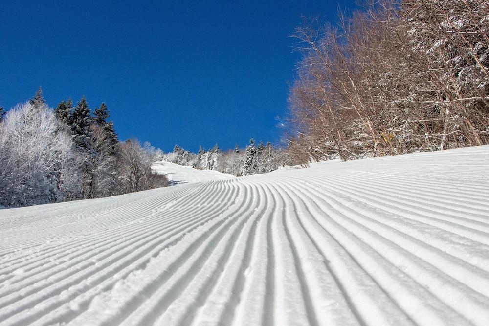 Vantage Point Villas at Stratton Mountain Resort photo 18