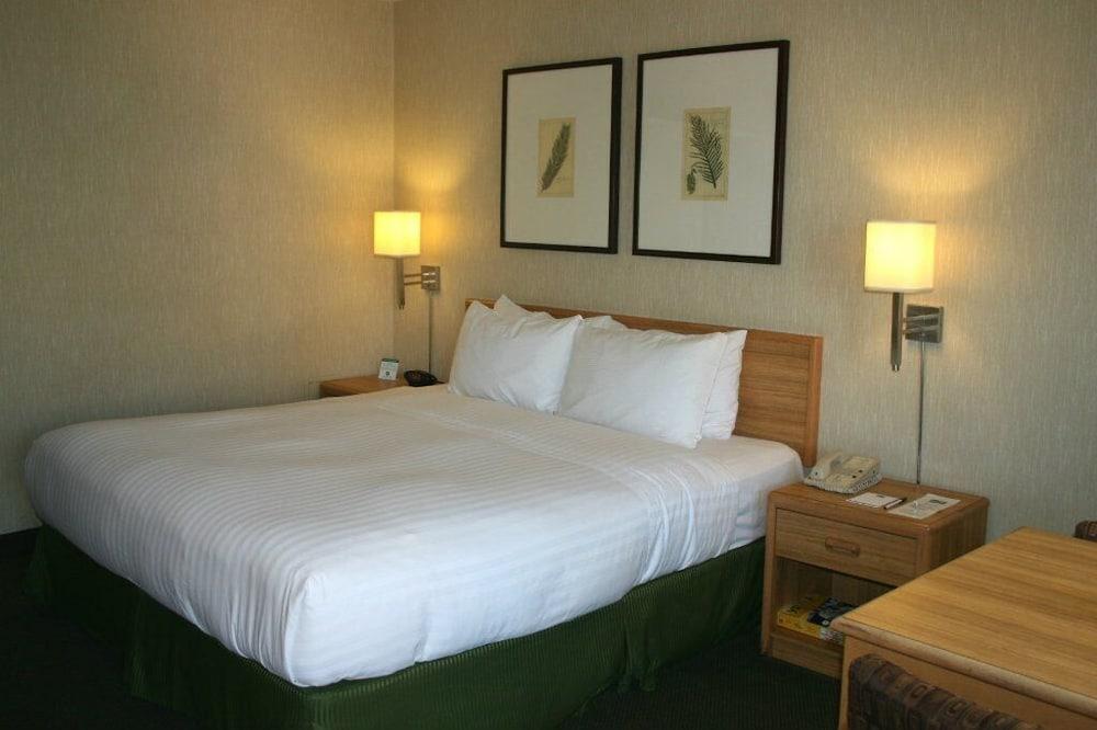 Vagabond Inn Los Angeles at USC photo 20