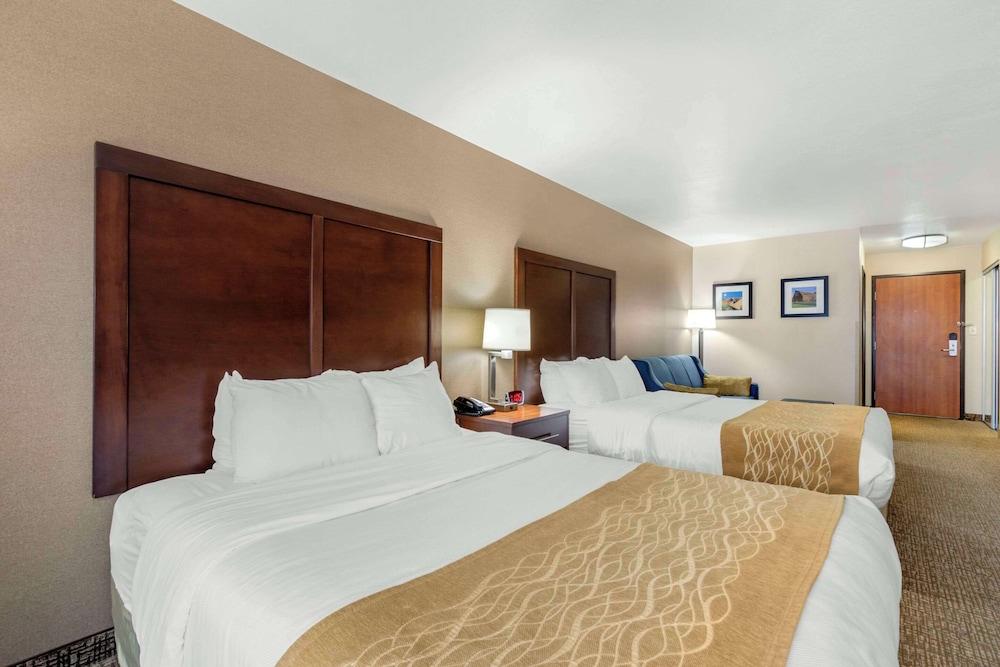 Comfort Inn & Suites Mitchell I-90 photo 23