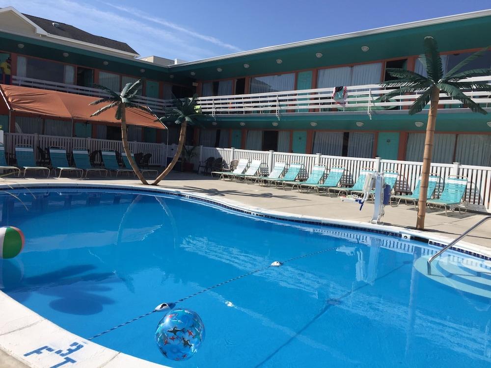 Dolphin Inn photo 27