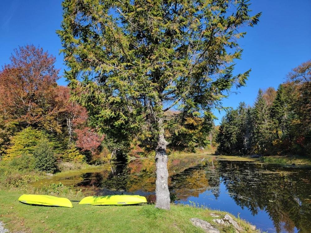 Pinnacle Lodge photo 13