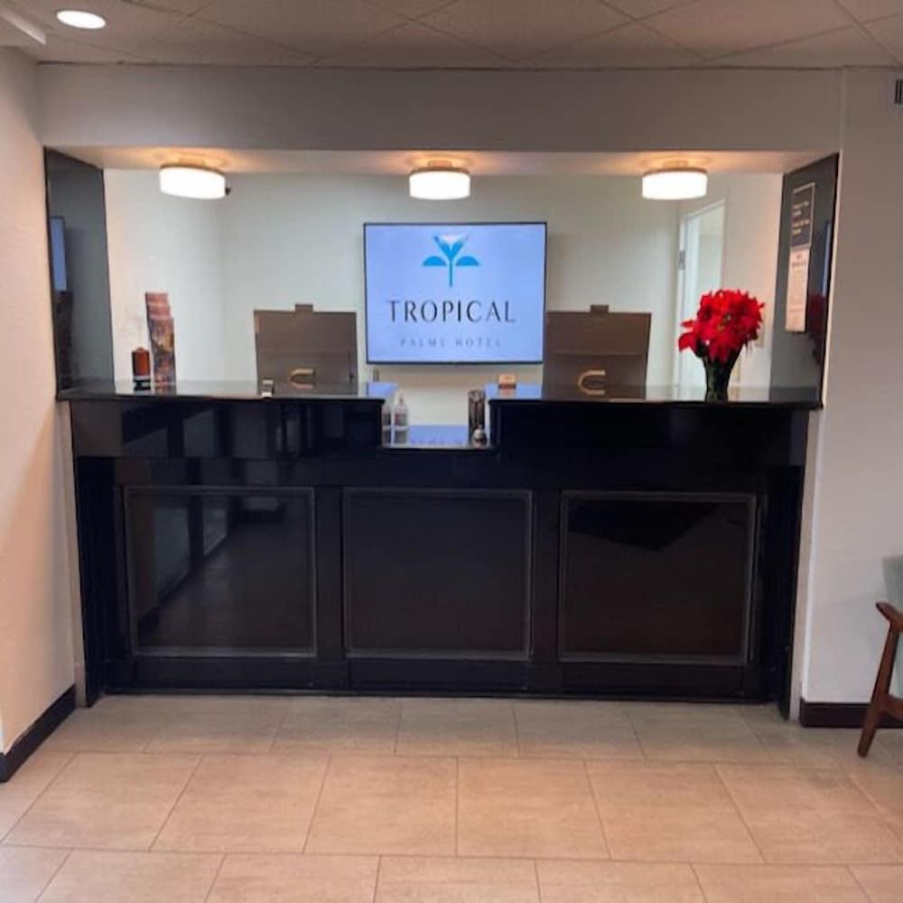 Tropical Palms Hotel photo 2