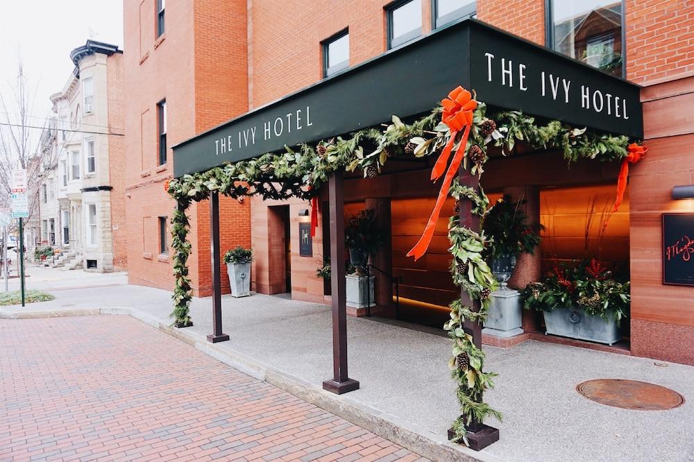 The Ivy Hotel photo 61
