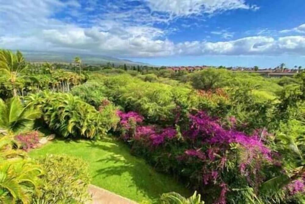 Signature Residences at Maui Banyan photo 84