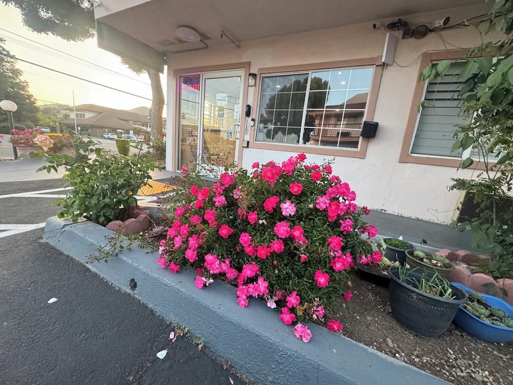 Morganhill Inn Motel photo 15