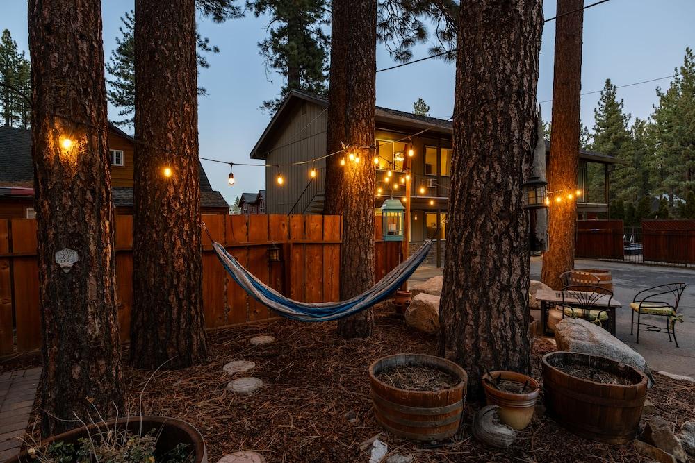 Alder Inn photo 28