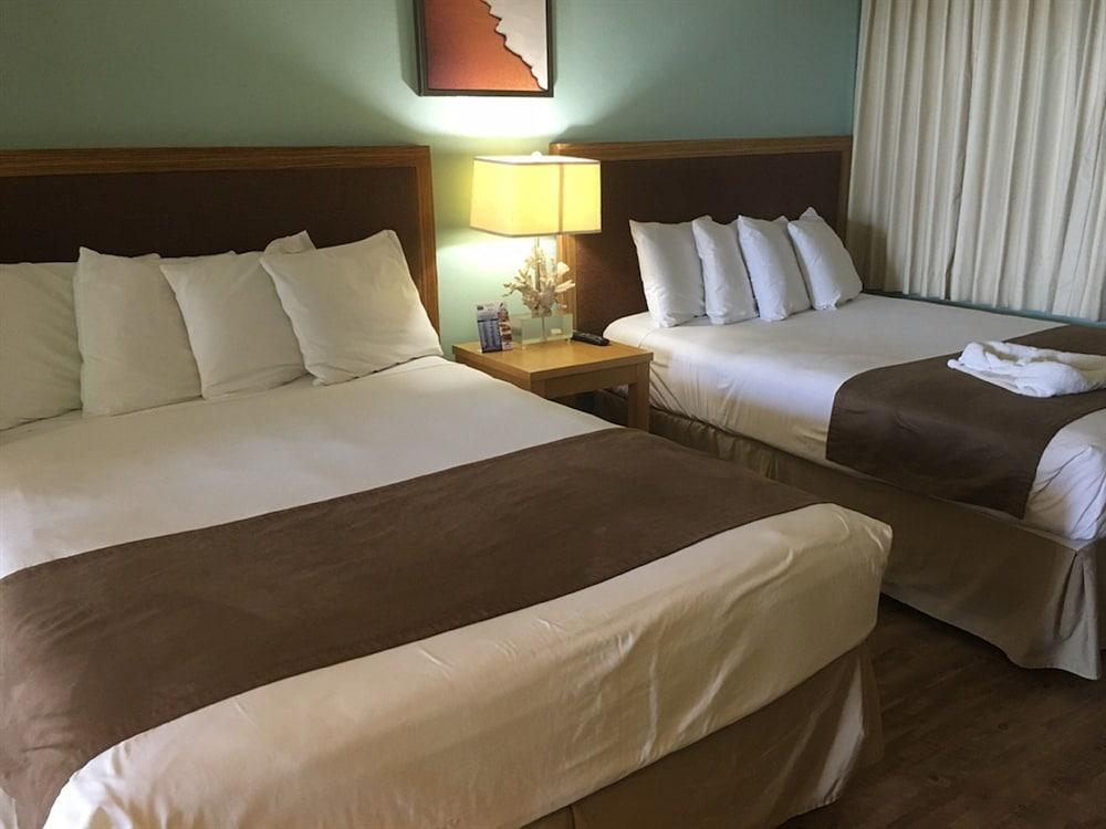 The Beachview Inn Clearwater Beach photo 10