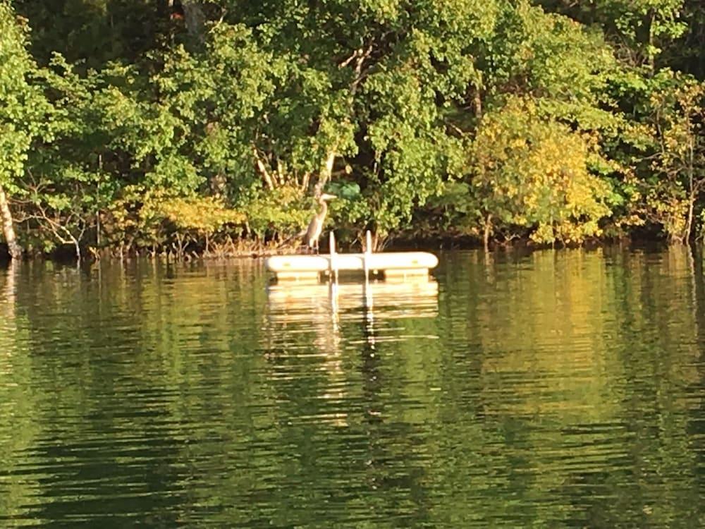 Dixon Lake Resort photo 53