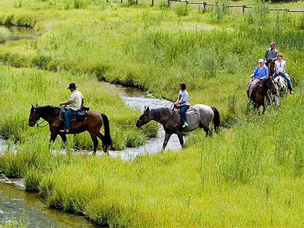 The Cabins At Snake River Sporting Club photo 12