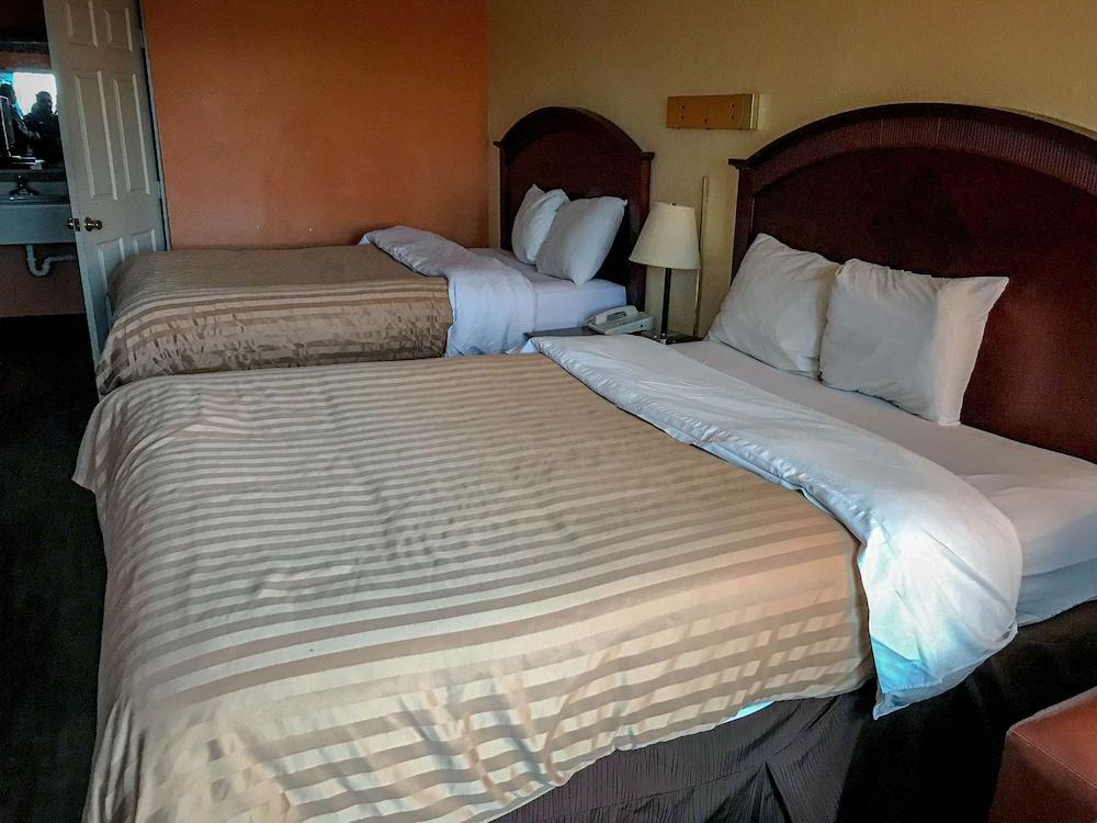 Motel 6 Ozark, AR photo 6