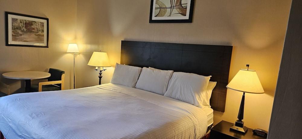 Bellis Inn photo 37