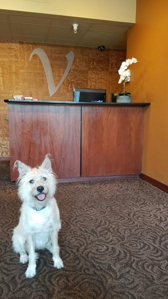 V Boutique Hotel photo 30