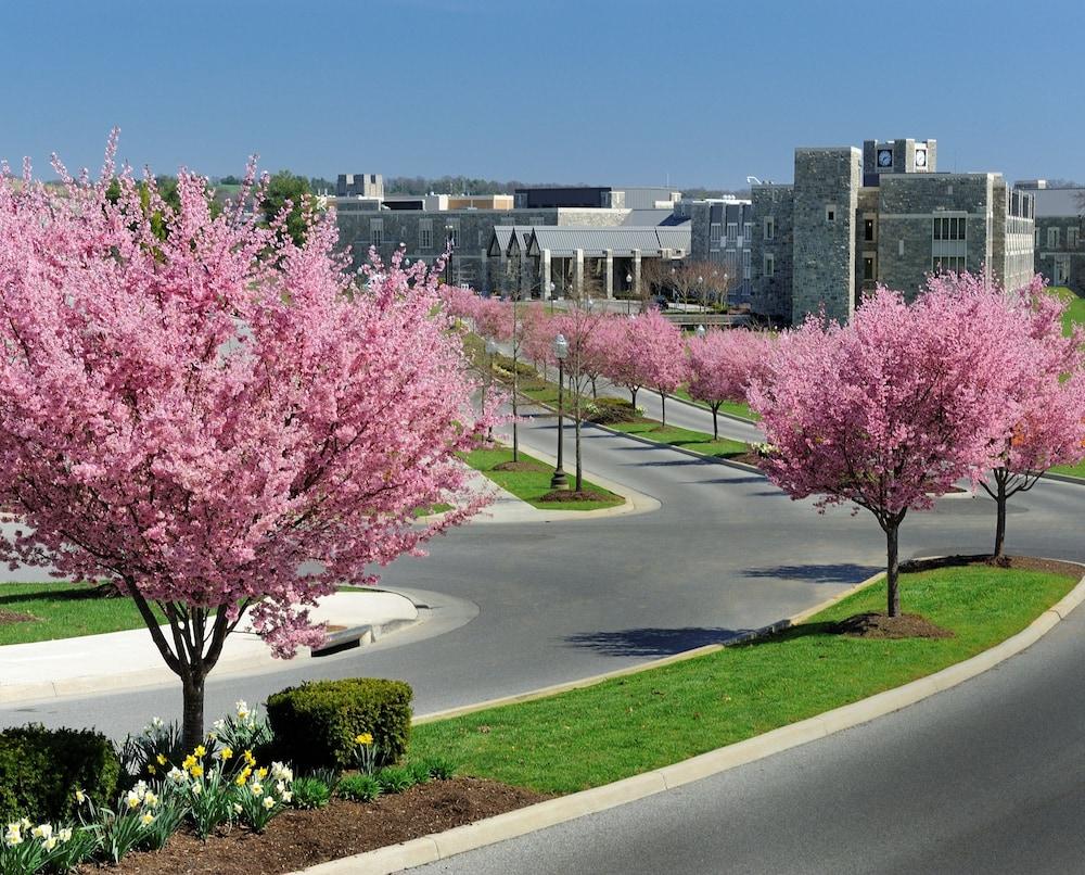 The Inn at Virginia Tech and Skelton Conference Center photo 47