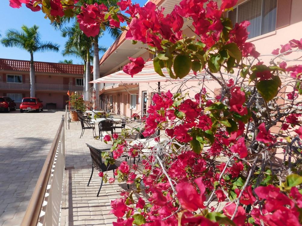 Hibiscus Suites - Gateway to Siesta Key photo 3
