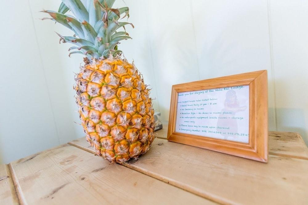 Nalu Kai Lodge photo 2