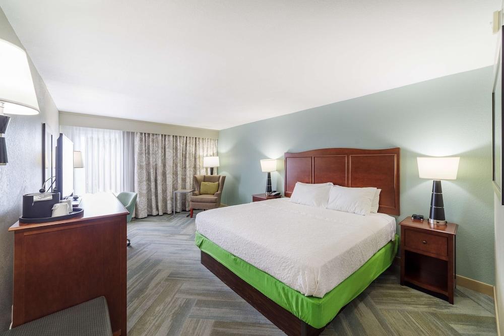 Holiday Inn Express & Suites Port Charlotte by IHG photo 21