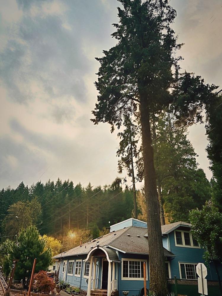 Westfir Lodge & Mountain Market photo 10
