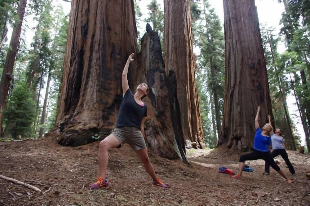 Montecito Sequoia Lodge photo 28
