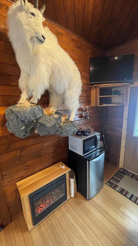 Talkeetna Denali View Lodge and Cabins photo 59