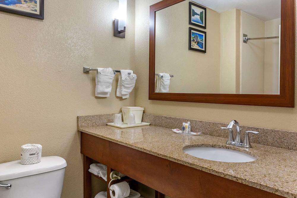 Comfort Suites Clayton - Garner photo 24