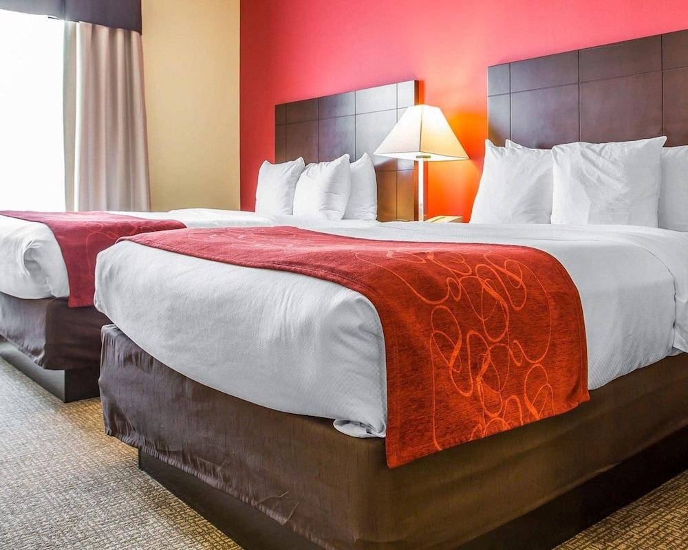 Comfort Suites Rock Hill Manchester Meadows Area photo 6