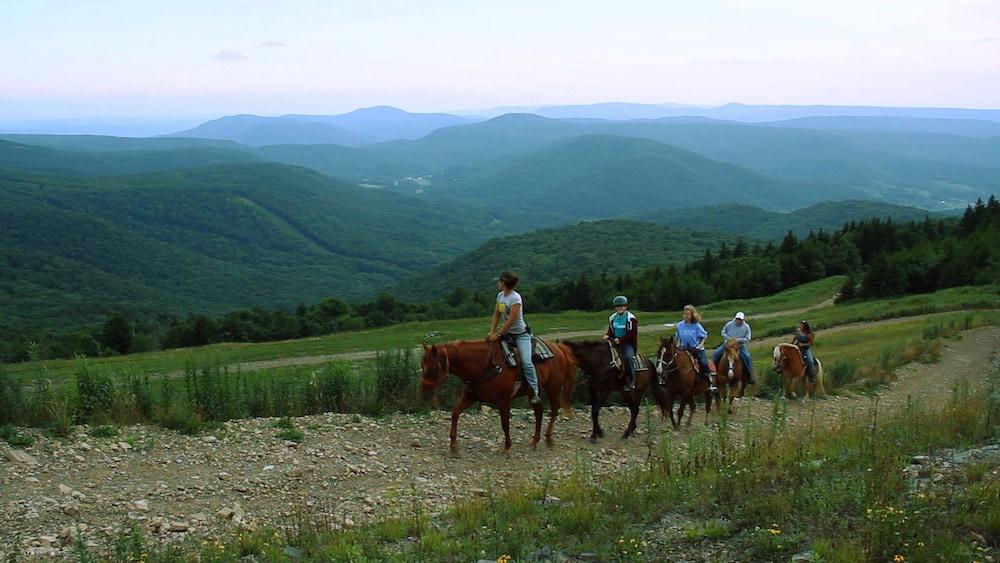 Soaring Eagle Lodge photo 26