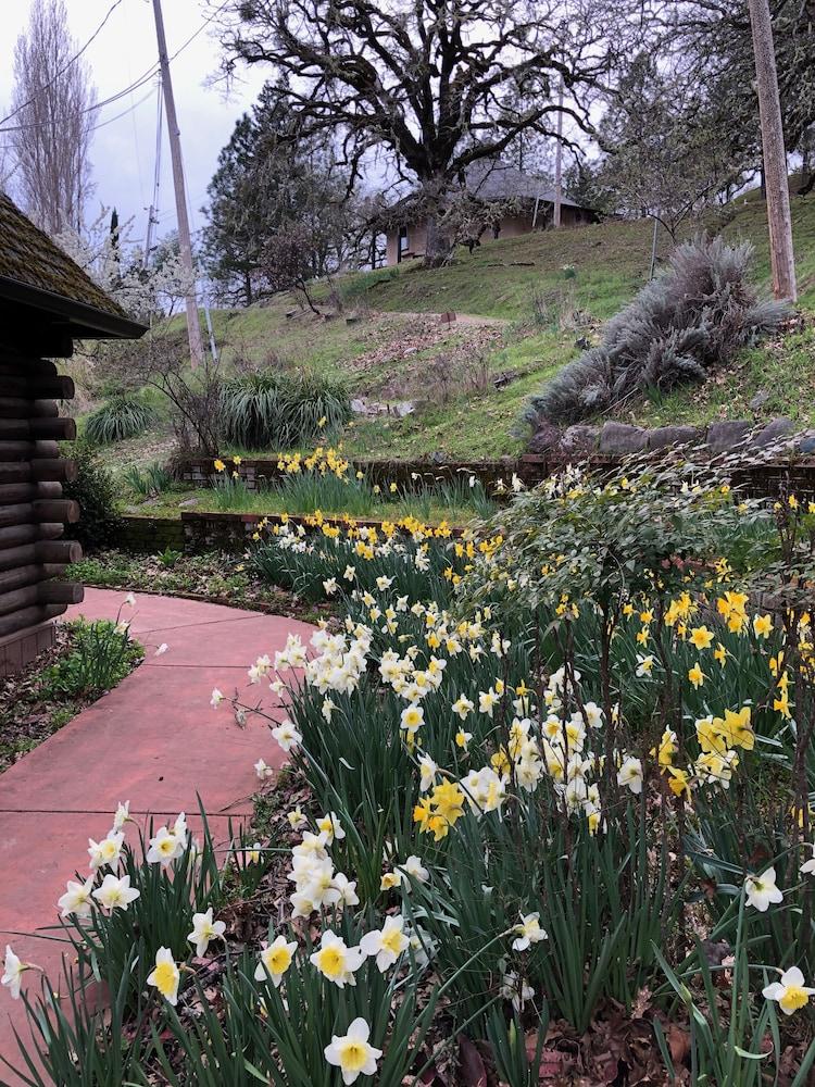 Heartwood Mountain Sanctuary photo 37