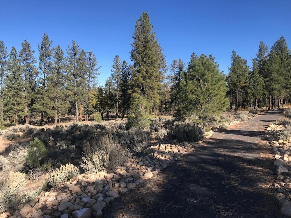 Red Feather Lodge photo 30