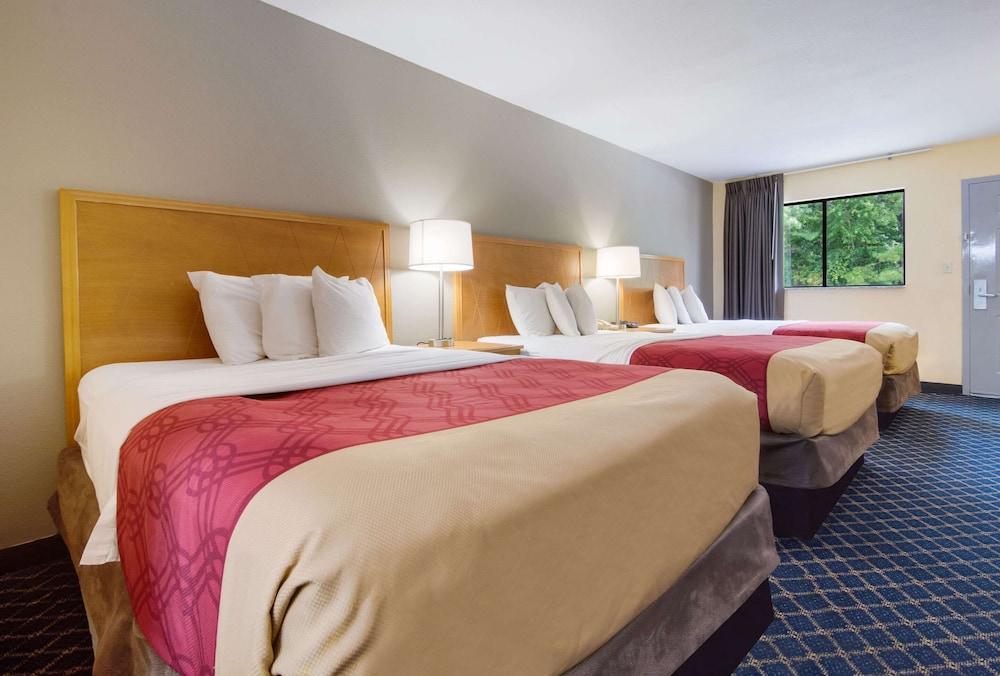 Econo Lodge Battleboro - Rocky Mount I-95 photo 14
