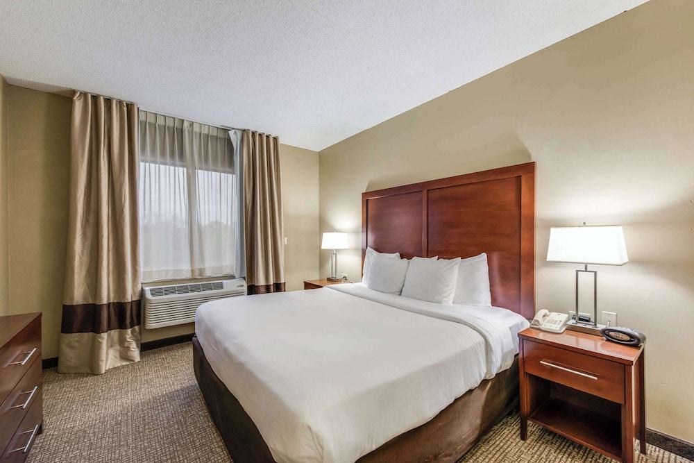 Comfort Suites Chicago O'Hare Airport photo 52