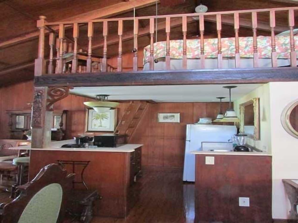 The Driftwood Resort photo 13