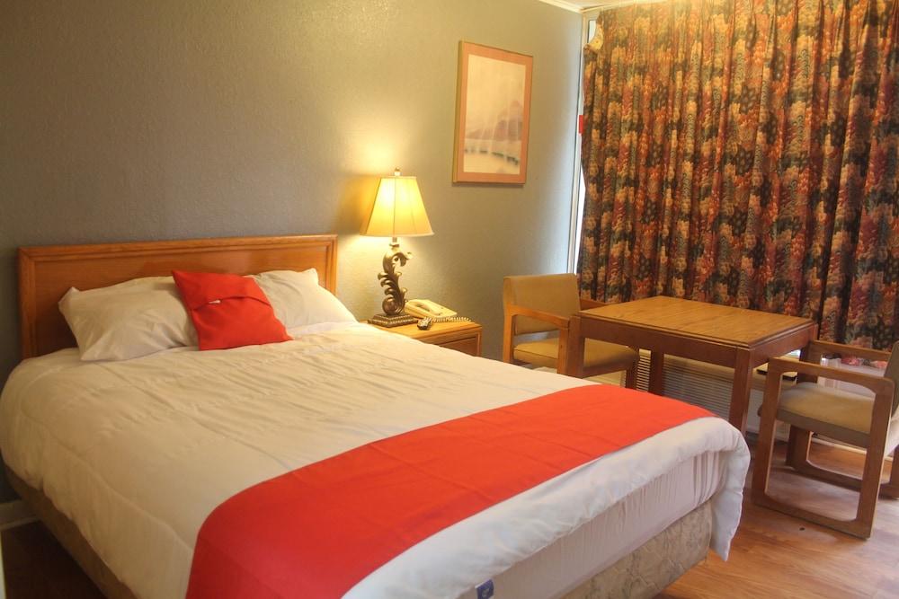 Springwood Hotel photo 3