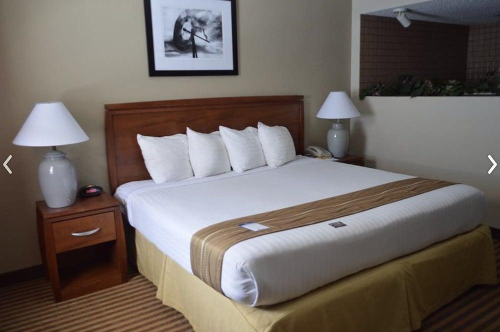 Eleven Boutique Hotel photo 5
